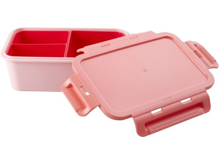 Rice Lunchbox with 3 Inserts in Coral and Red Colors Online Sale