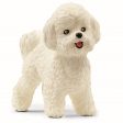 schleich® Farm World Bichon Frisé Online Sale