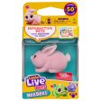 Little Live Pets Needees kanin Online Hot Sale