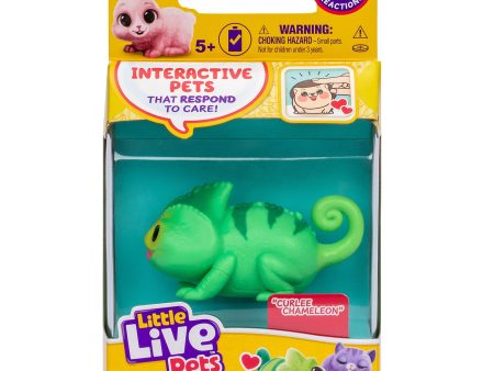 Little Live Pets Needees Kameleont Online Hot Sale