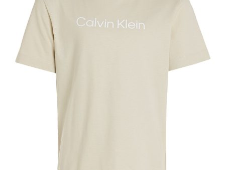 Calvin Klein Pelican Inst. Logo T-Shirt Sale